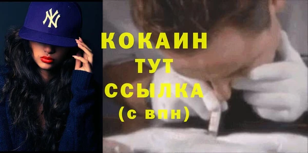 шишки Балахна