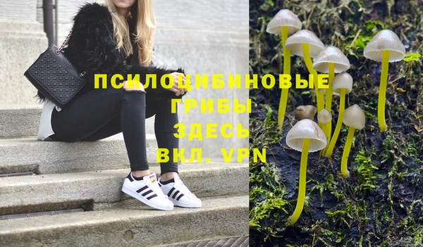 спайс Белокуриха