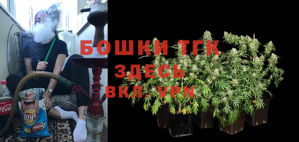 шишки Балахна